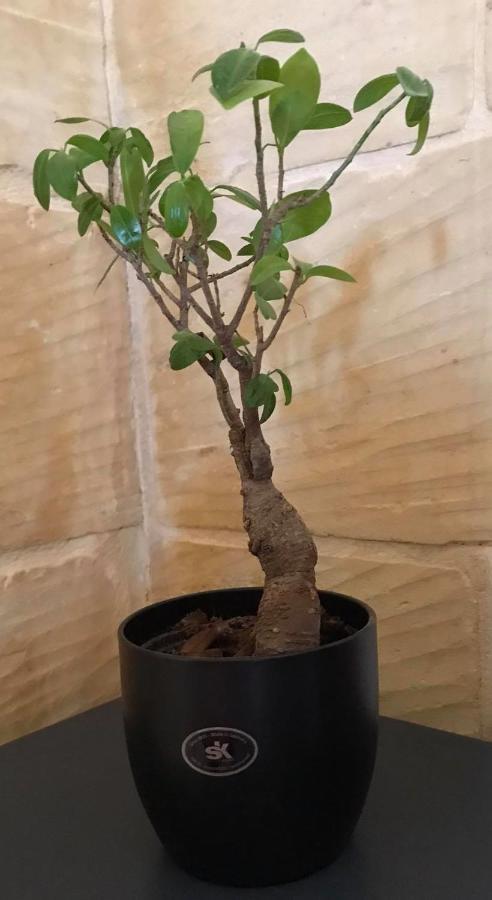 Ta Marie Merhba Zebbug  外观 照片